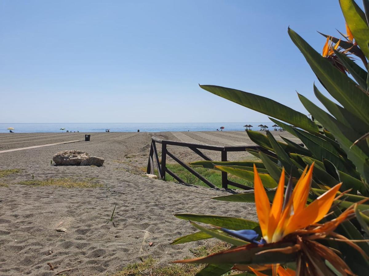 Boutique Apartment Near The Beach, 1 Gbps Wi-Fi 马拉加 外观 照片